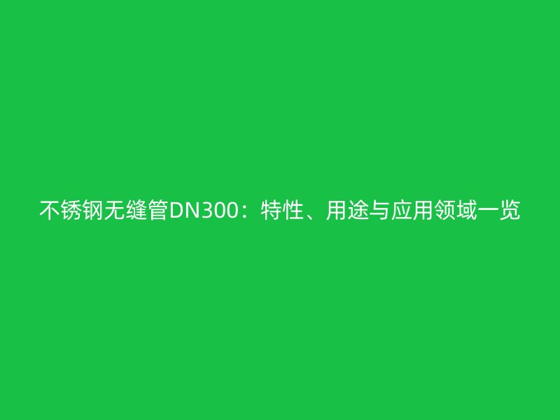 不銹鋼無縫管DN300：特性、用途與應用領域一覽